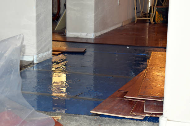 Professional Burst Pipe Cleanup technician working in Pinola, MS